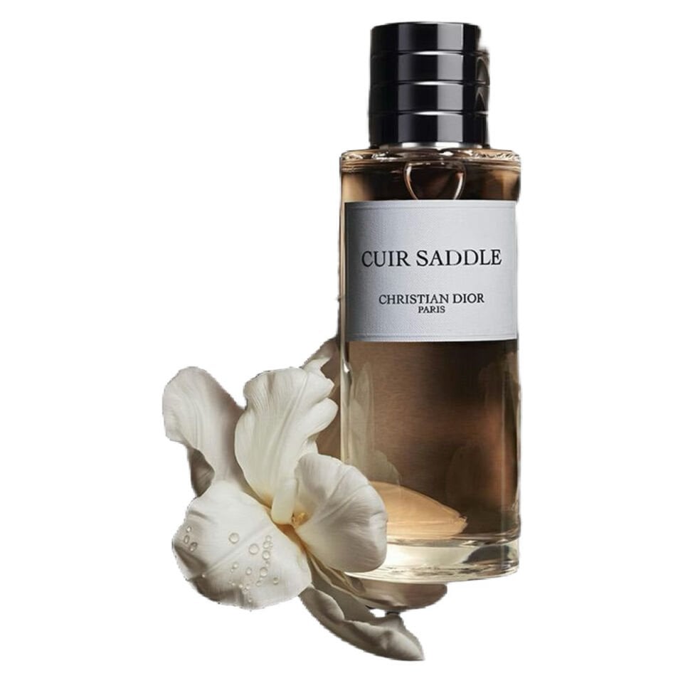 Dior Cuir Saddle Dekant